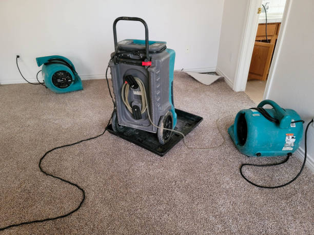  Luverne, AL Water damage restoration Pros