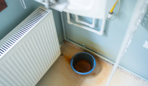 Best Residential water damage restoration  in Luverne, AL