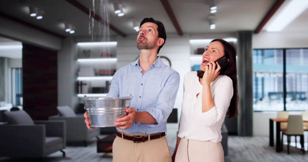 Carpet water damage restoration in Luverne, AL